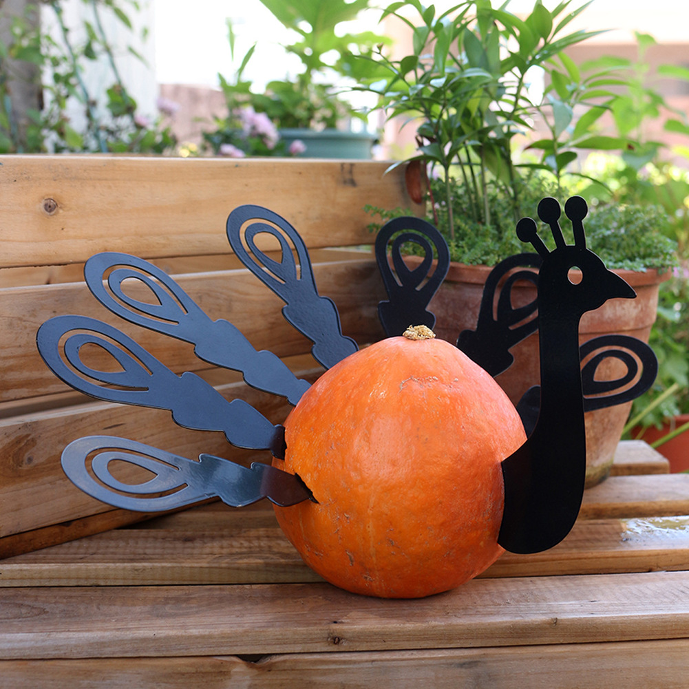 Per l'autunno Kit di decorazio - Home Textiles Turkey recensione e prezzo